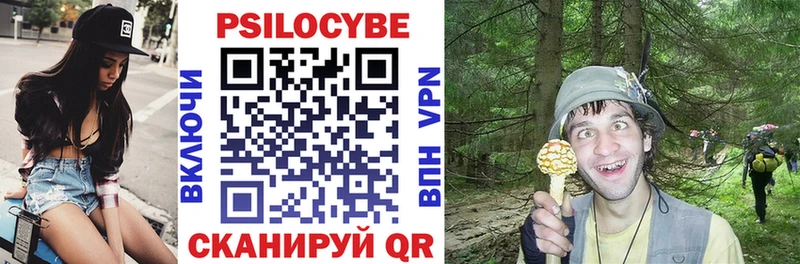 Псилоцибиновые грибы Psilocybine cubensis  Николаевск-на-Амуре 